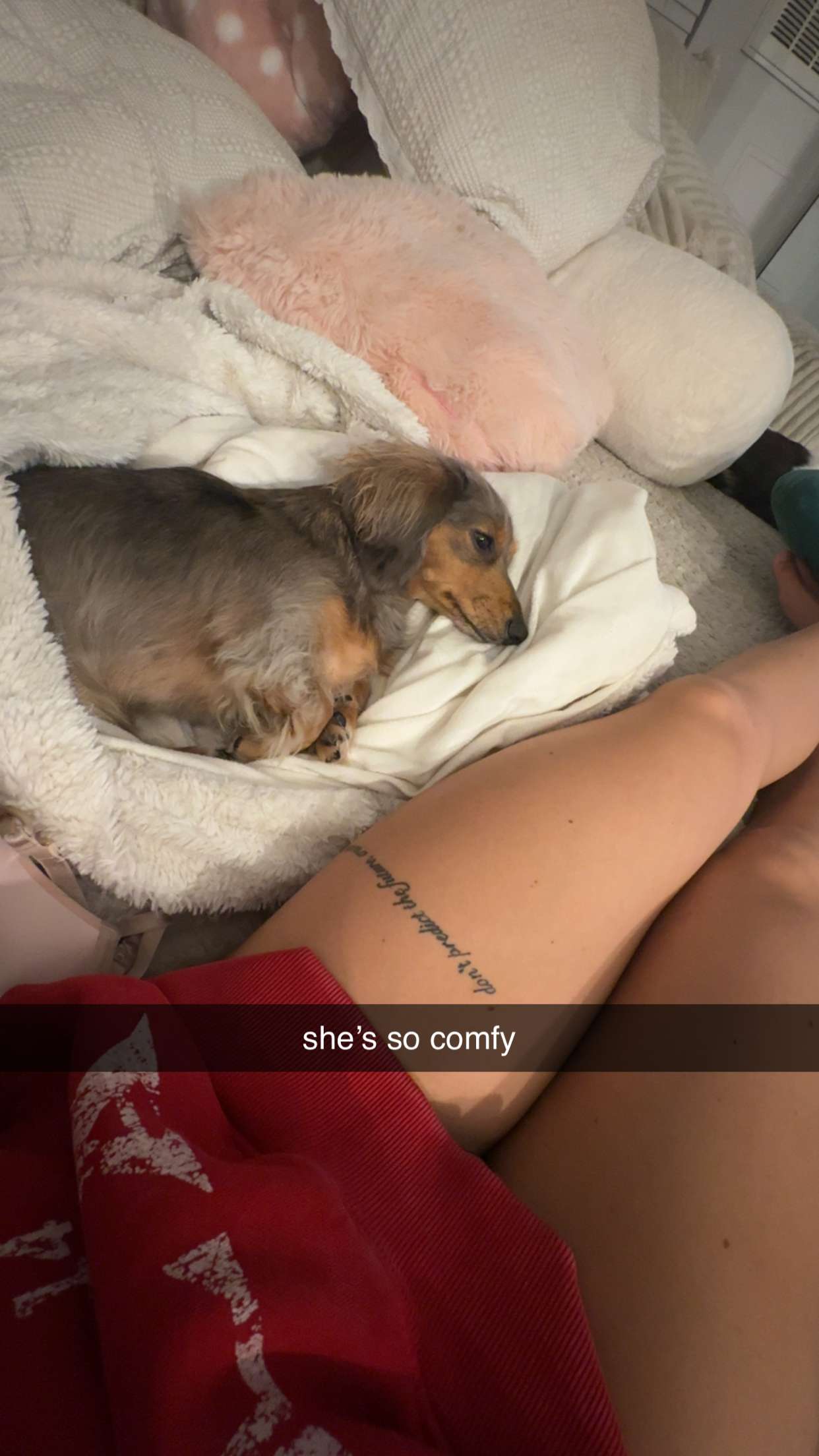 fionamaefit snapchat image archive image