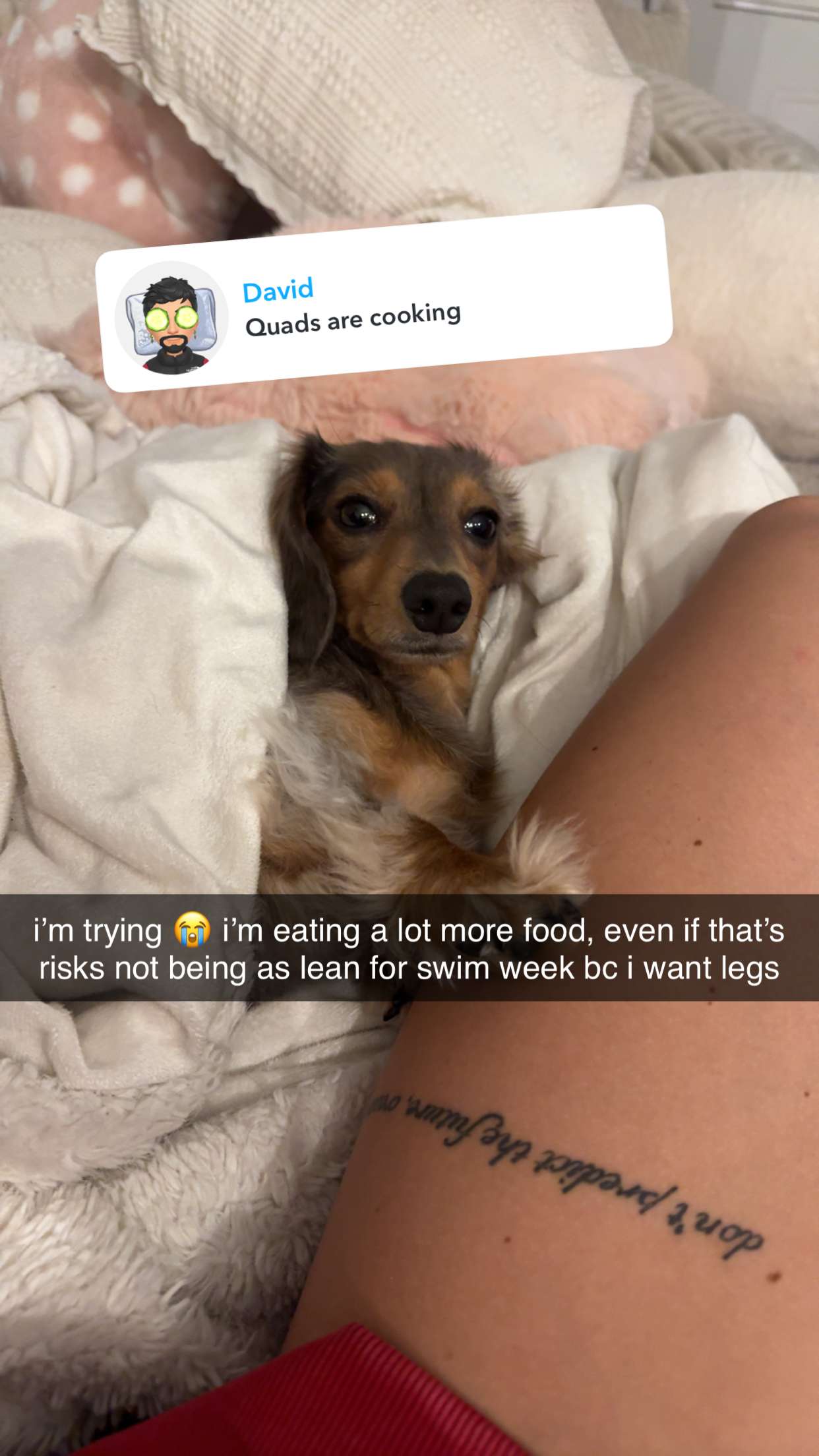 fionamaefit snapchat image archive image