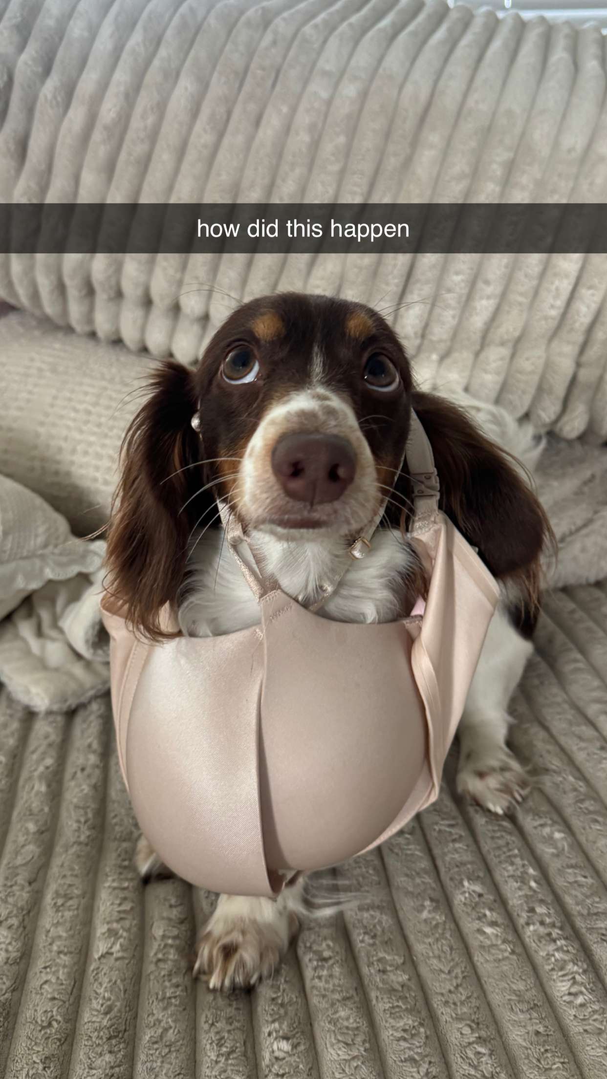 fionamaefit snapchat image archive image