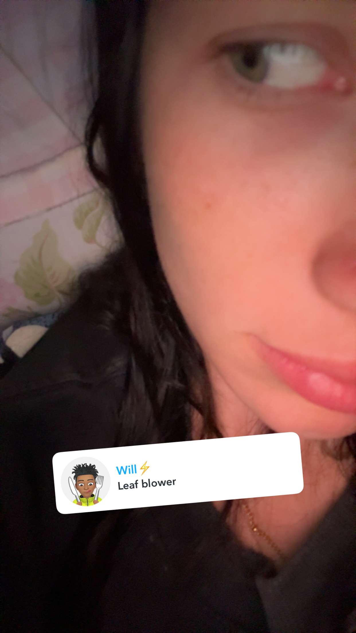 fionamaefit snapchat image archive image