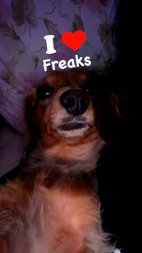 fionamaefit image ~ Altpins