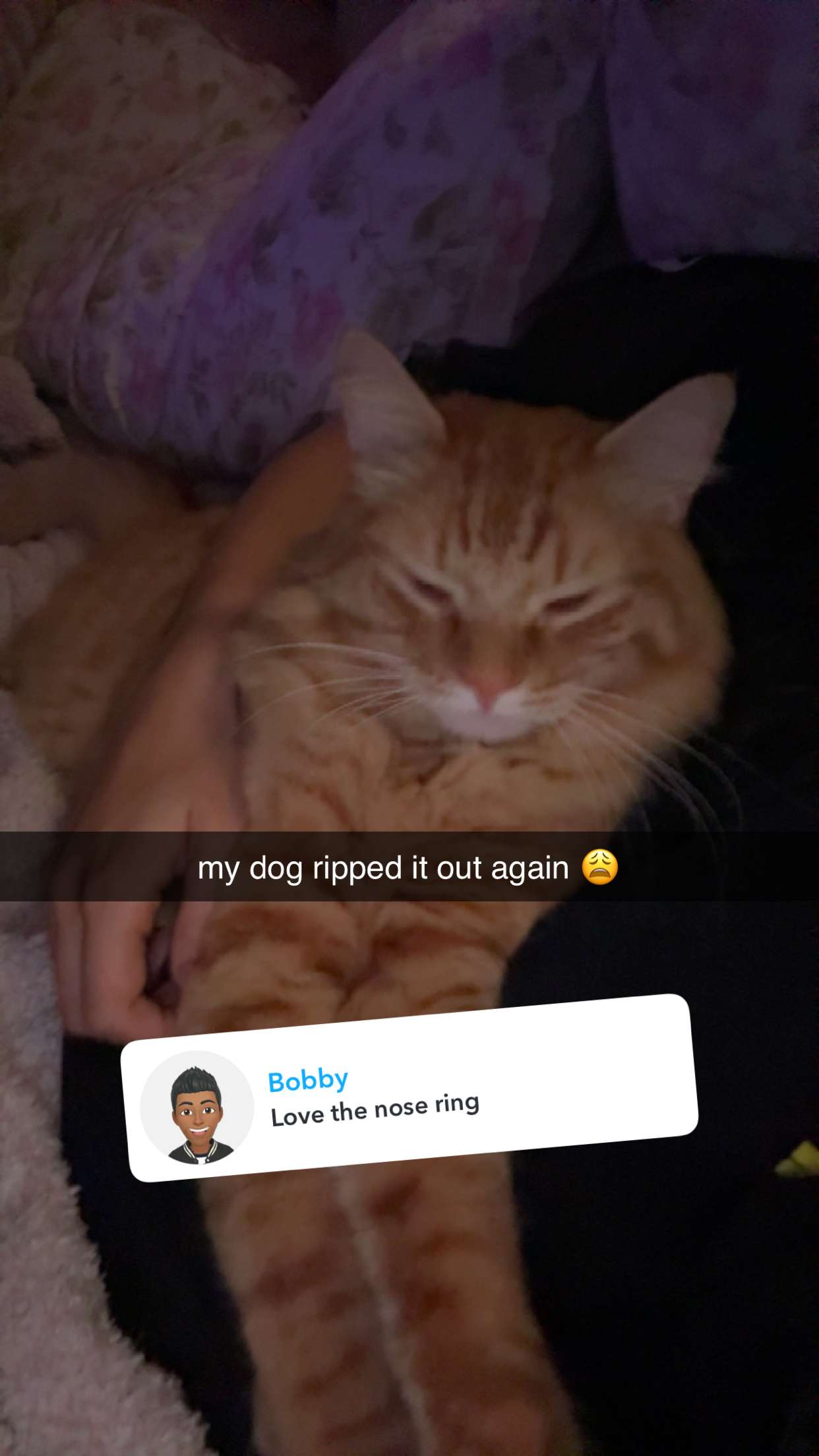 fionamaefit snapchat image archive image