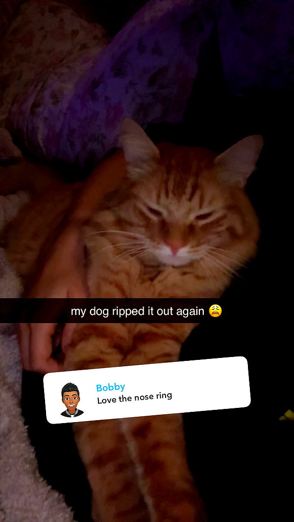 fionamaefit image ~ Altpins