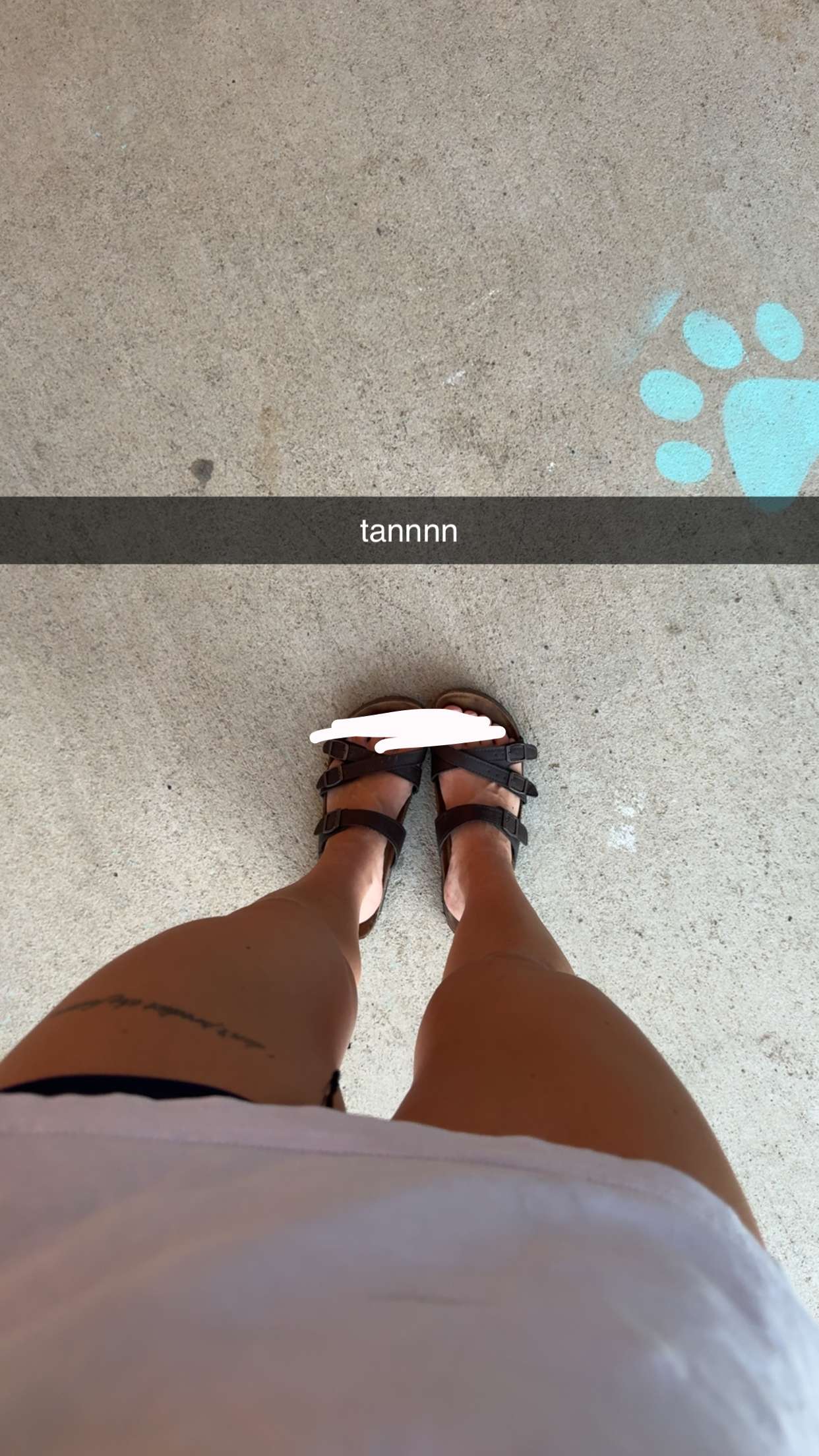 fionamaefit snapchat image archive image