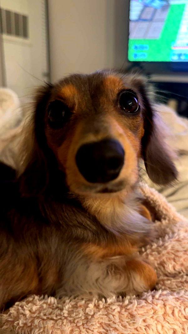 fionamaefit image ~ Altpins