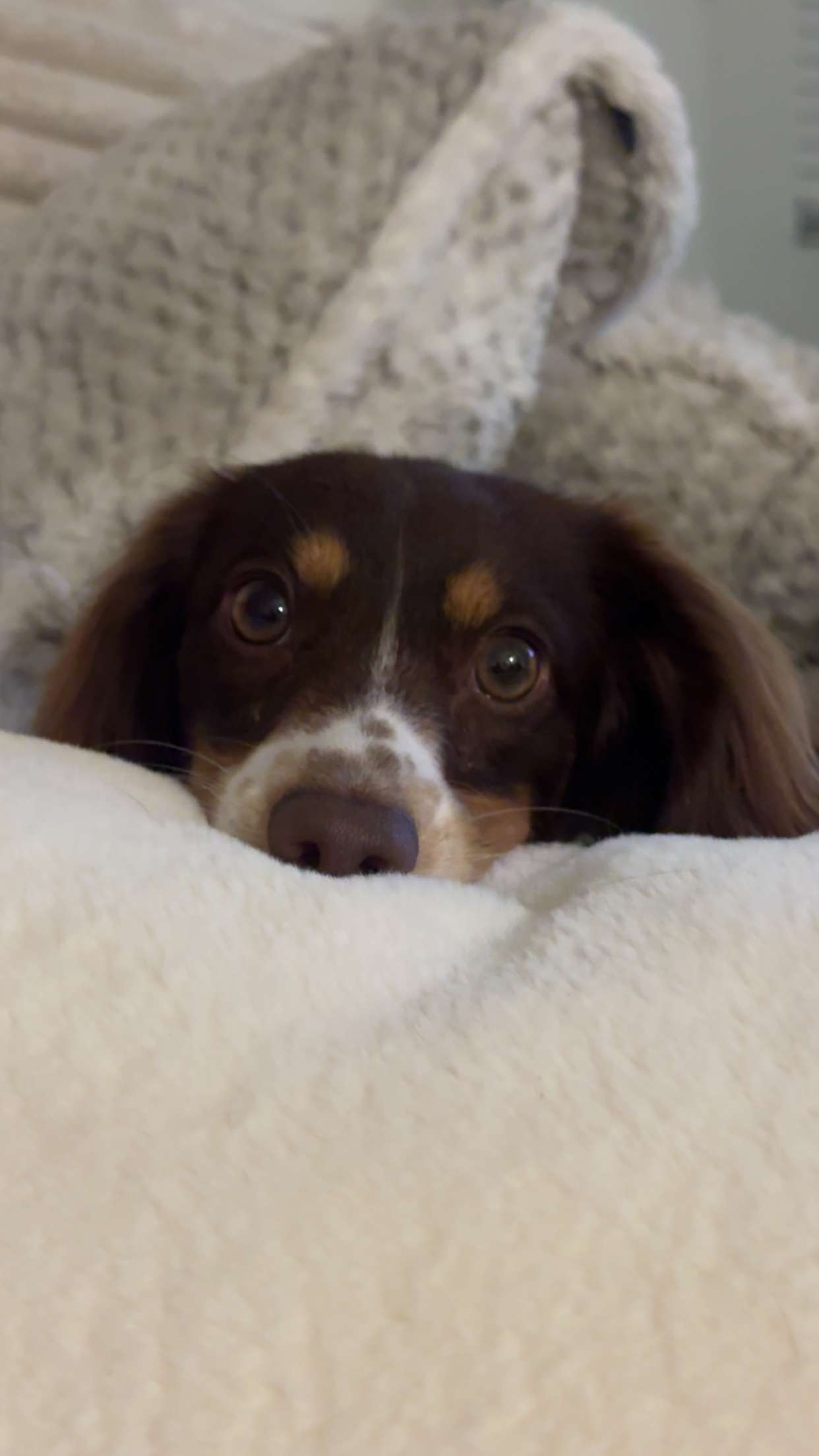 fionamaefit snapchat image archive image