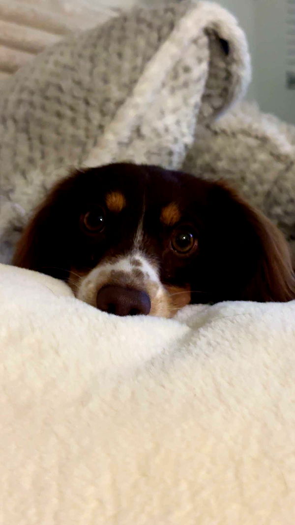 fionamaefit image ~ Altpins