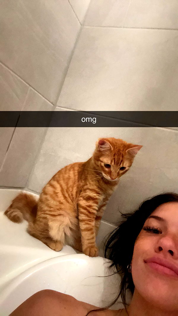 fionamaefit image ~ Altpins