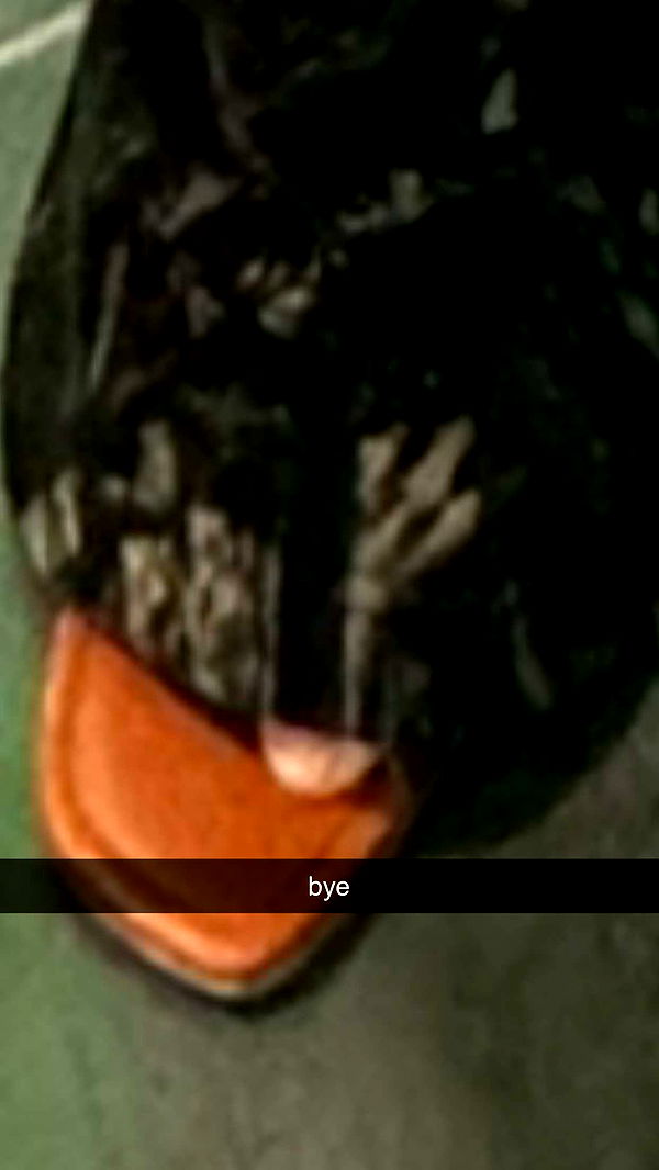 fionamaefit image ~ Altpins