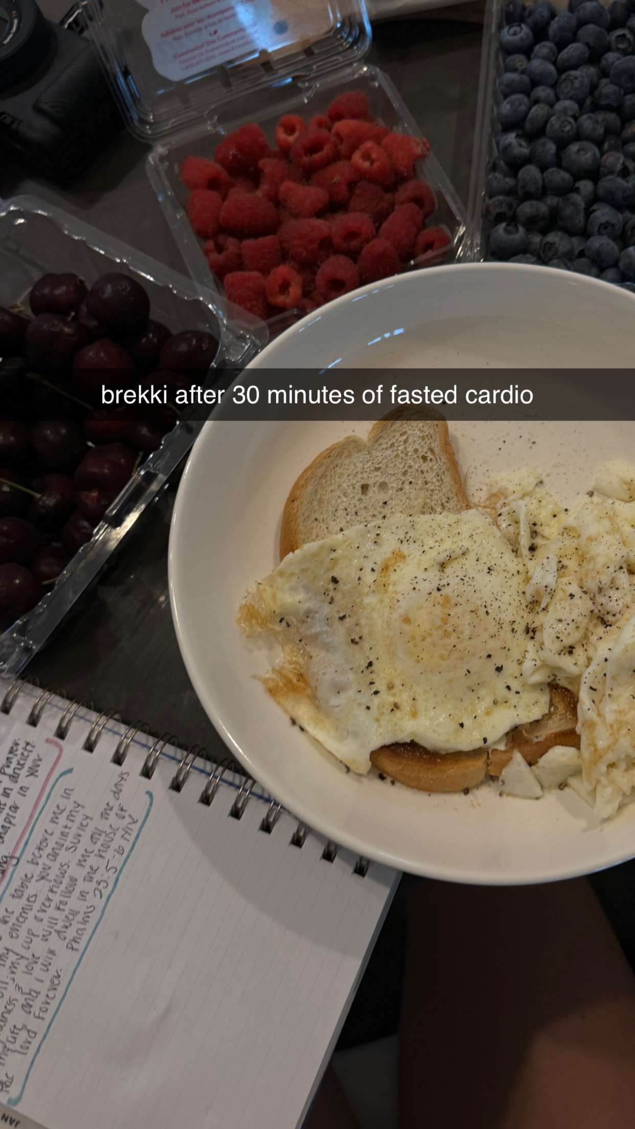 fionamaefit snapchat image archive image