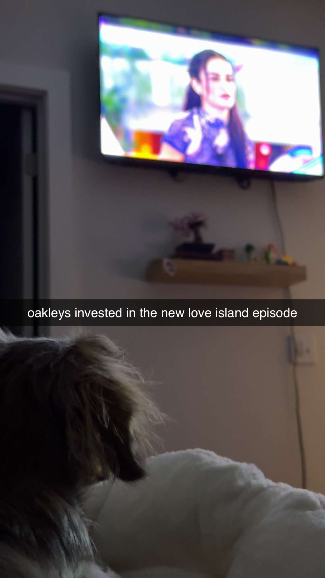 fionamaefit snapchat image archive image