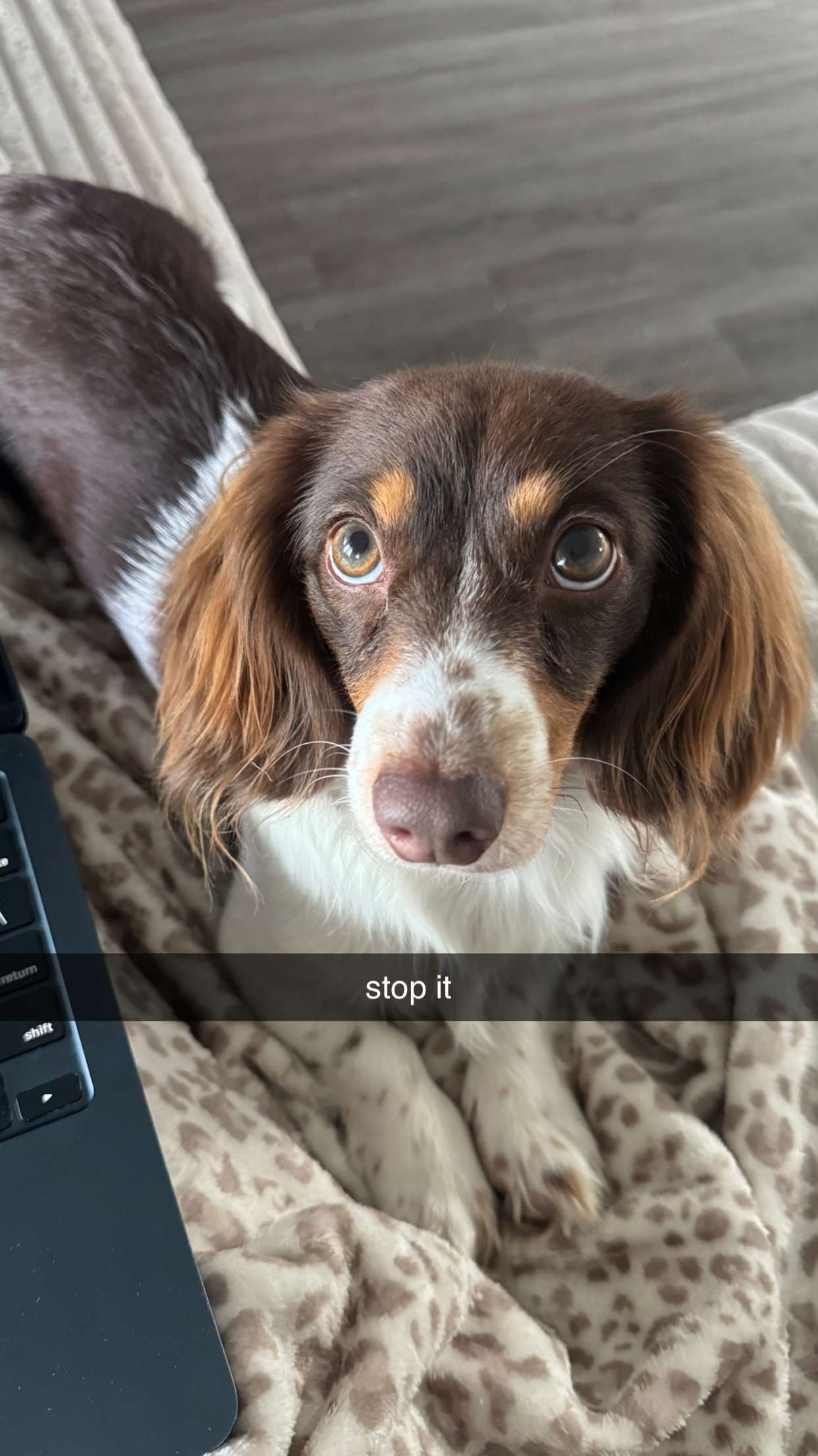 fionamaefit snapchat image archive image