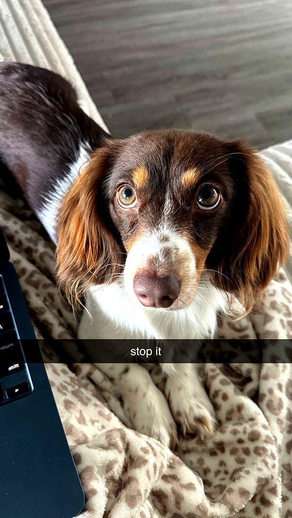 fionamaefit image ~ Altpins