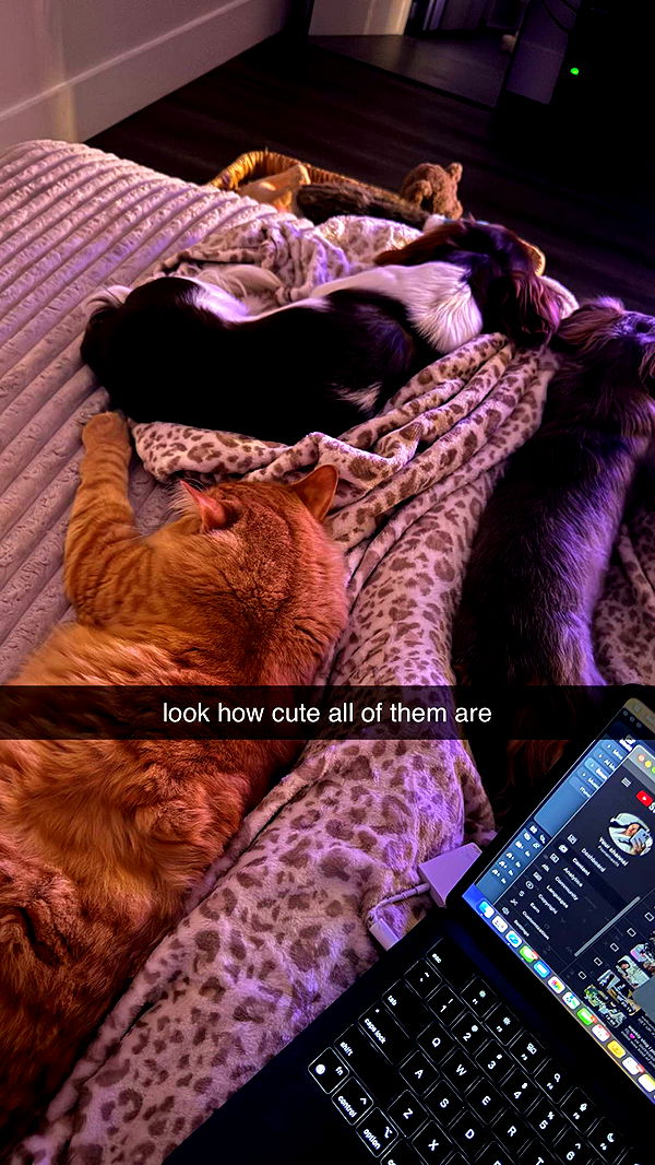 fionamaefit image ~ Altpins