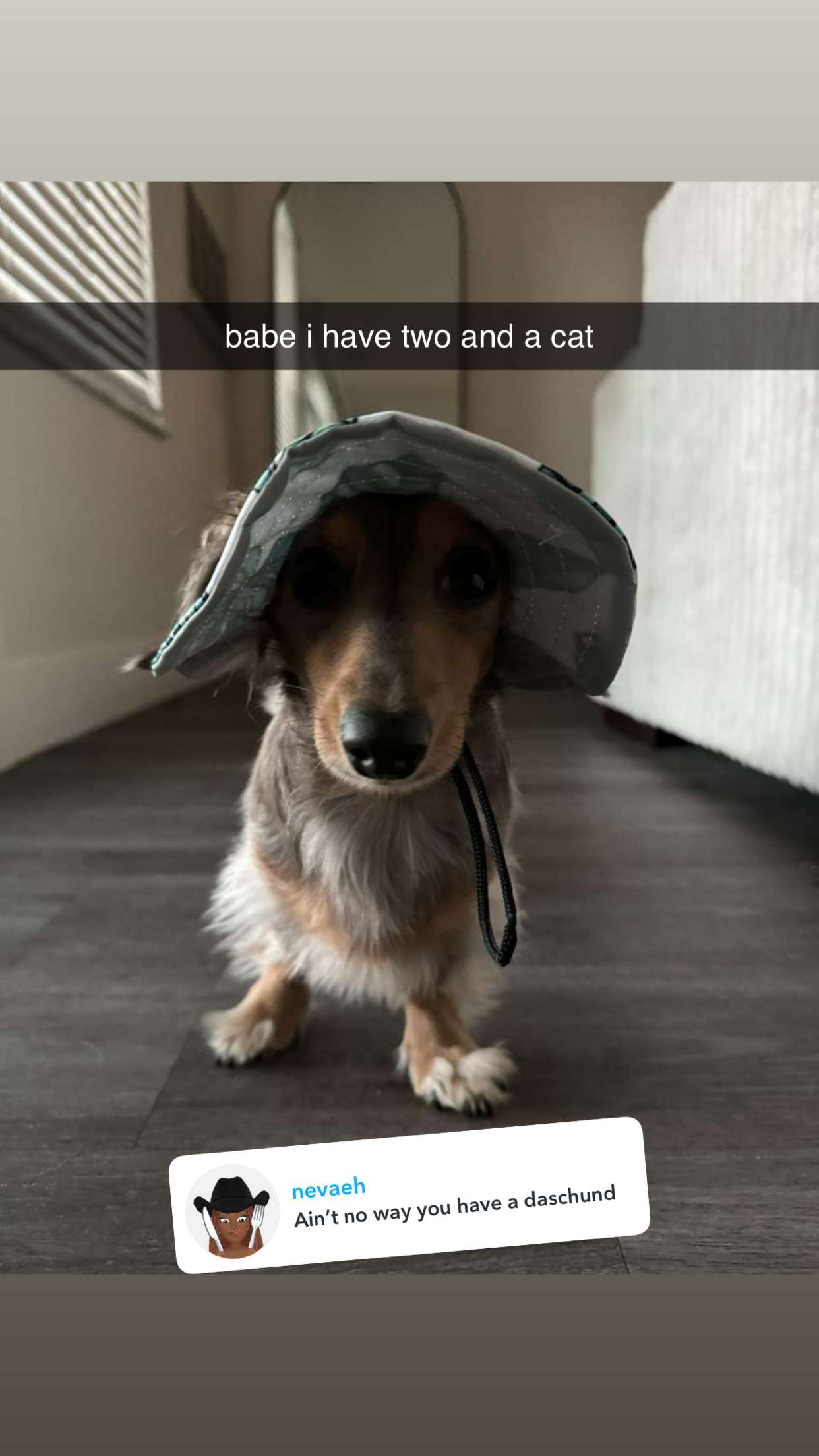 fionamaefit snapchat image archive image