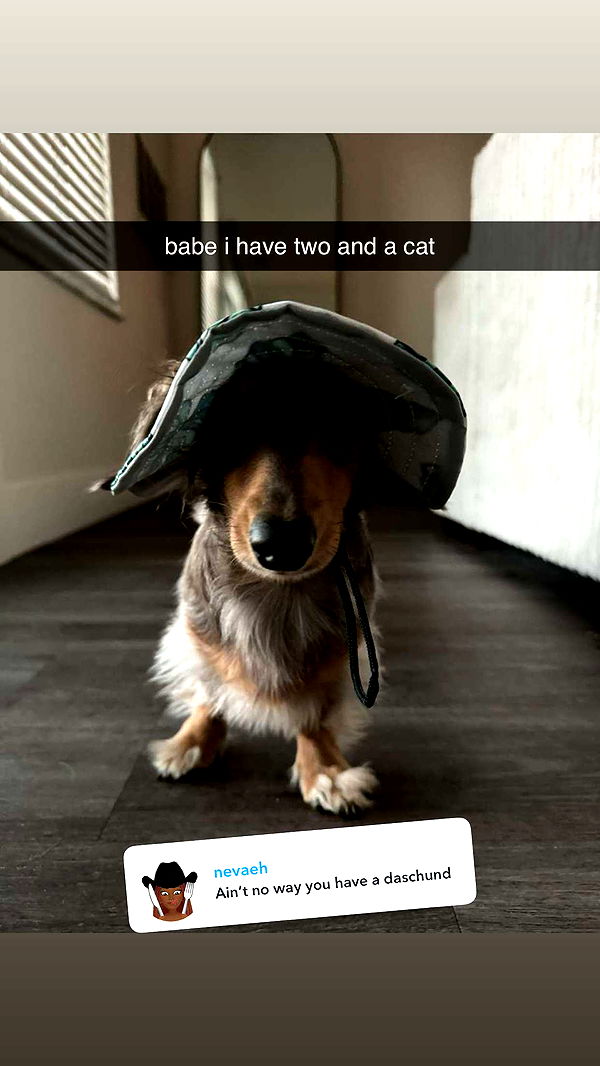 fionamaefit image ~ Altpins