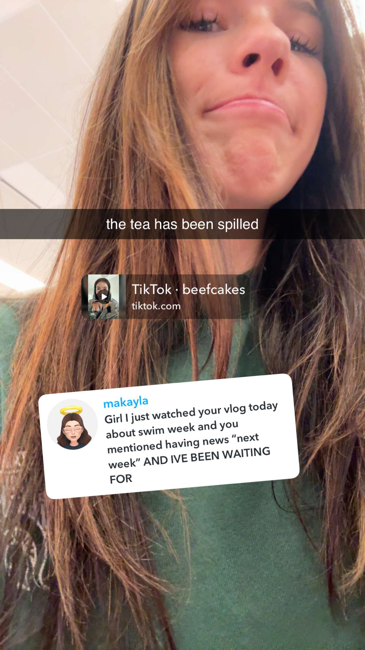 fionamaefit snapchat image archive image