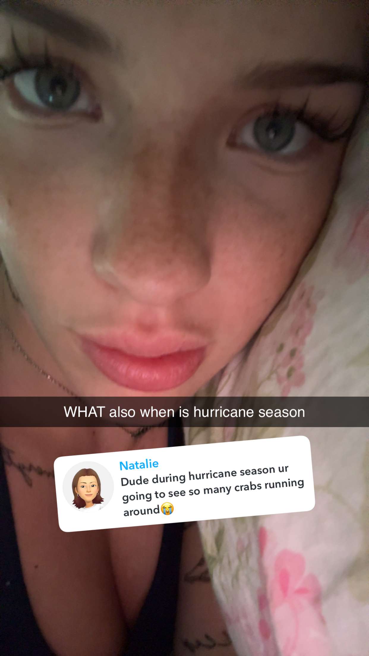 fionamaefit snapchat image archive image