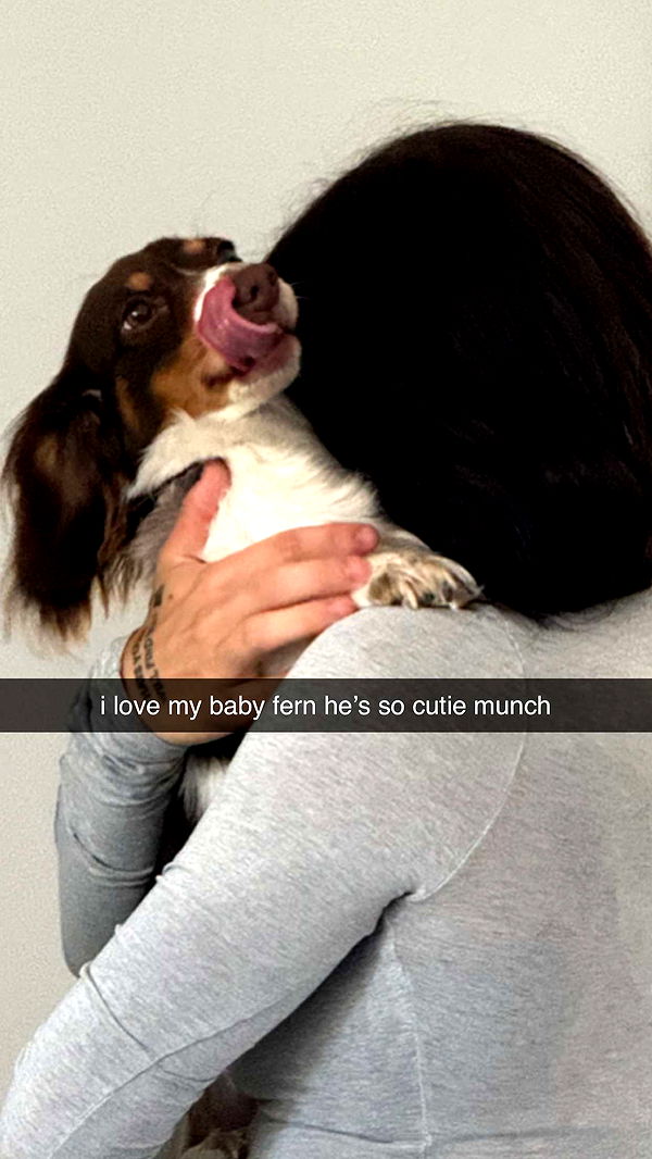 fionamaefit image ~ Altpins