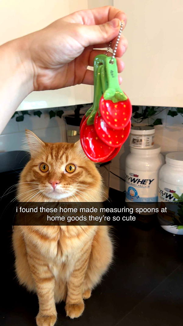 fionamaefit image ~ Altpins