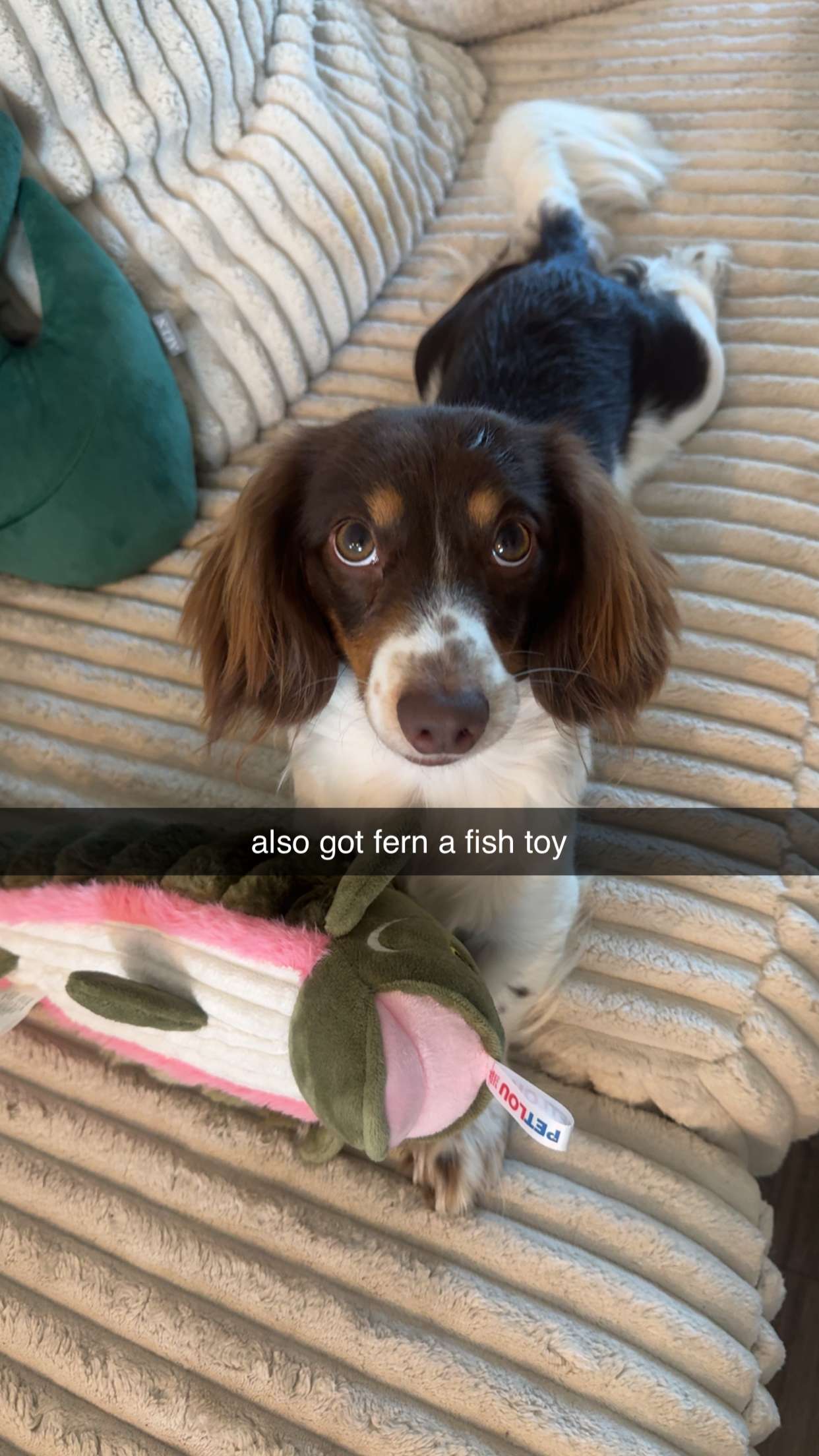 fionamaefit snapchat image archive image