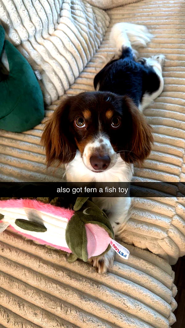 fionamaefit image ~ Altpins