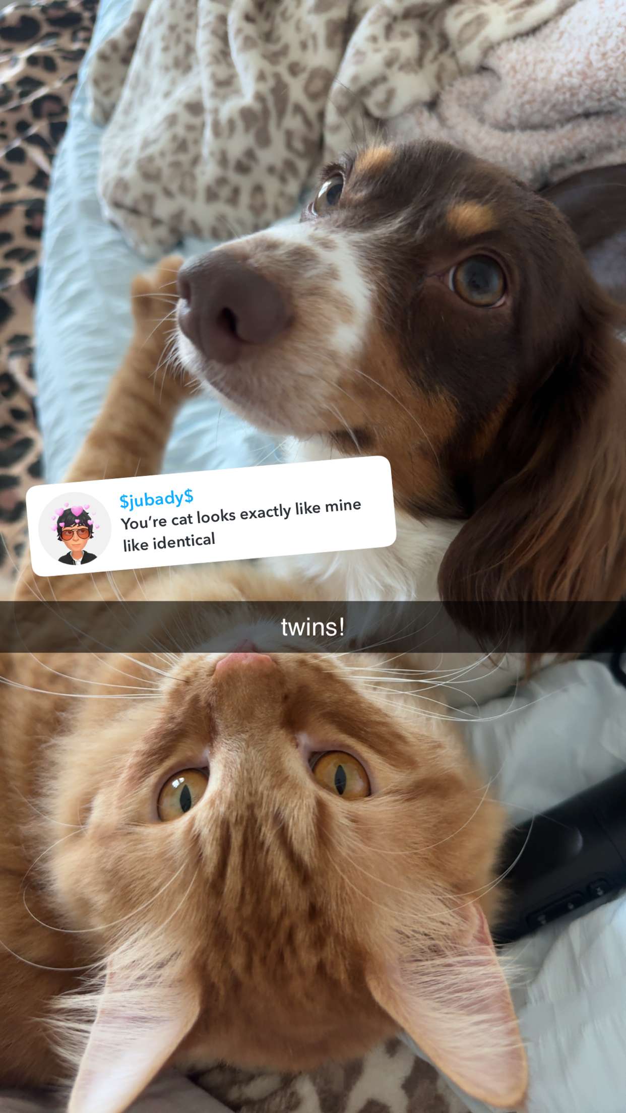 fionamaefit snapchat image archive image