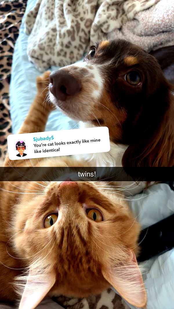 fionamaefit image ~ Altpins