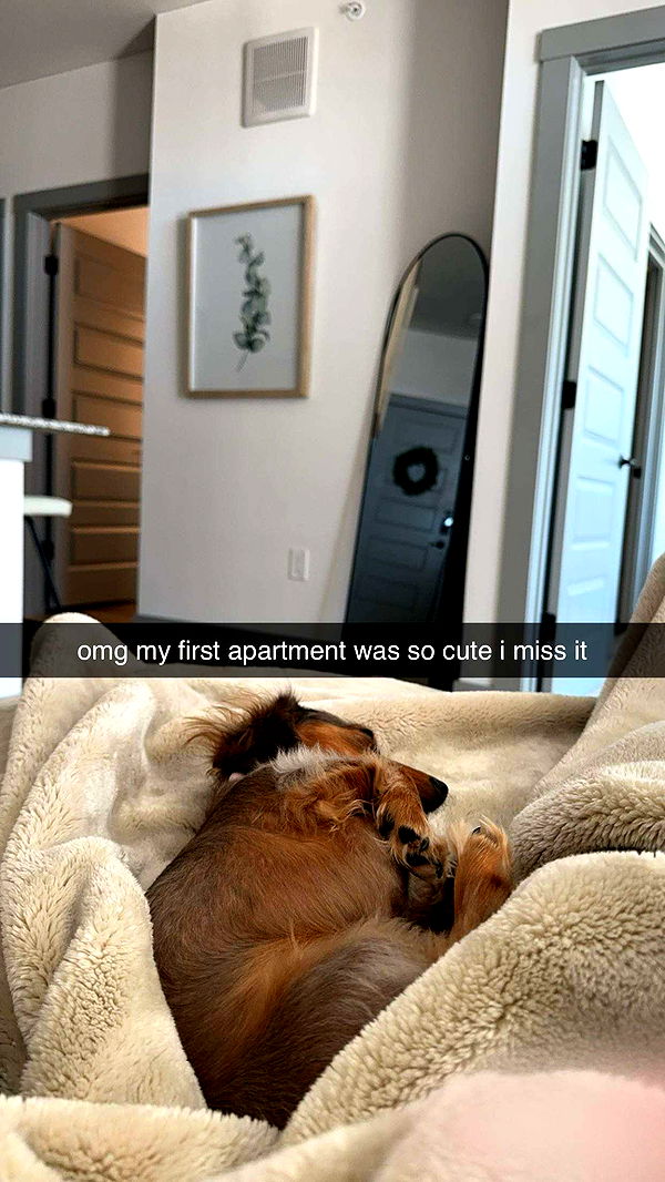 fionamaefit image ~ Altpins