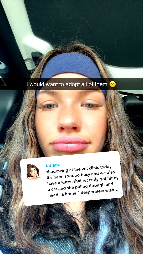 fionamaefit image ~ Altpins