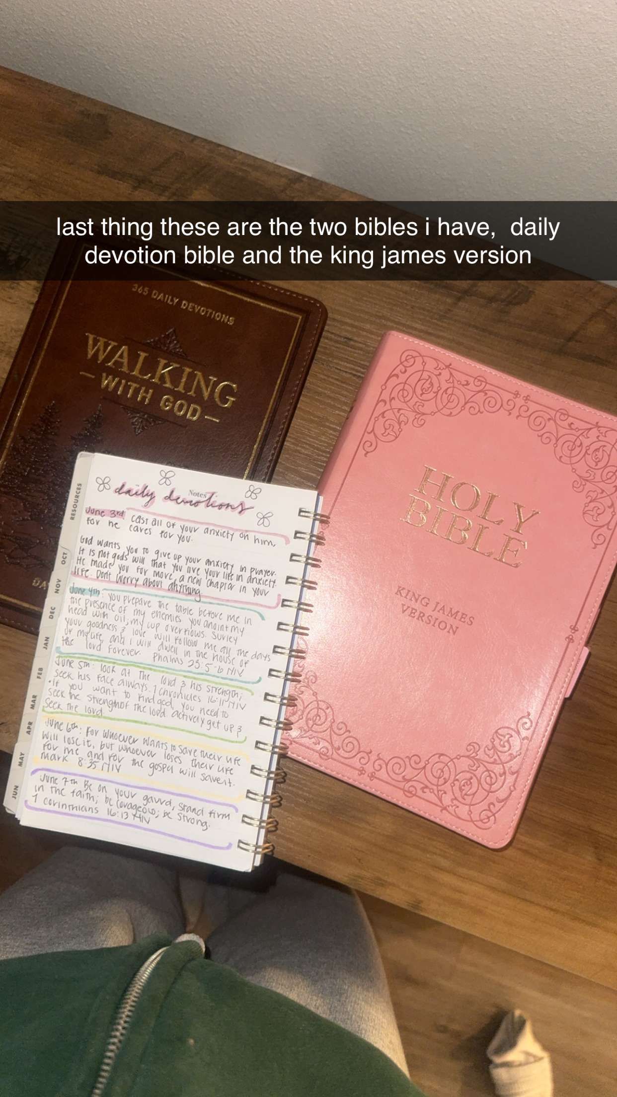 fionamaefit snapchat image archive image