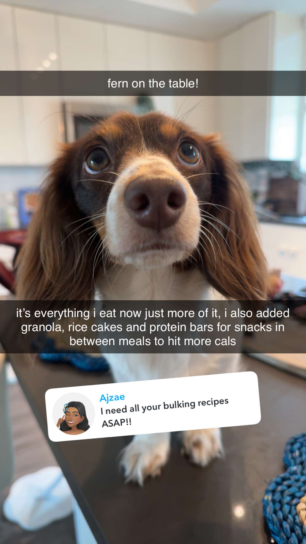 fionamaefit snapchat image archive image