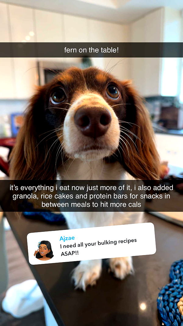 fionamaefit image ~ Altpins