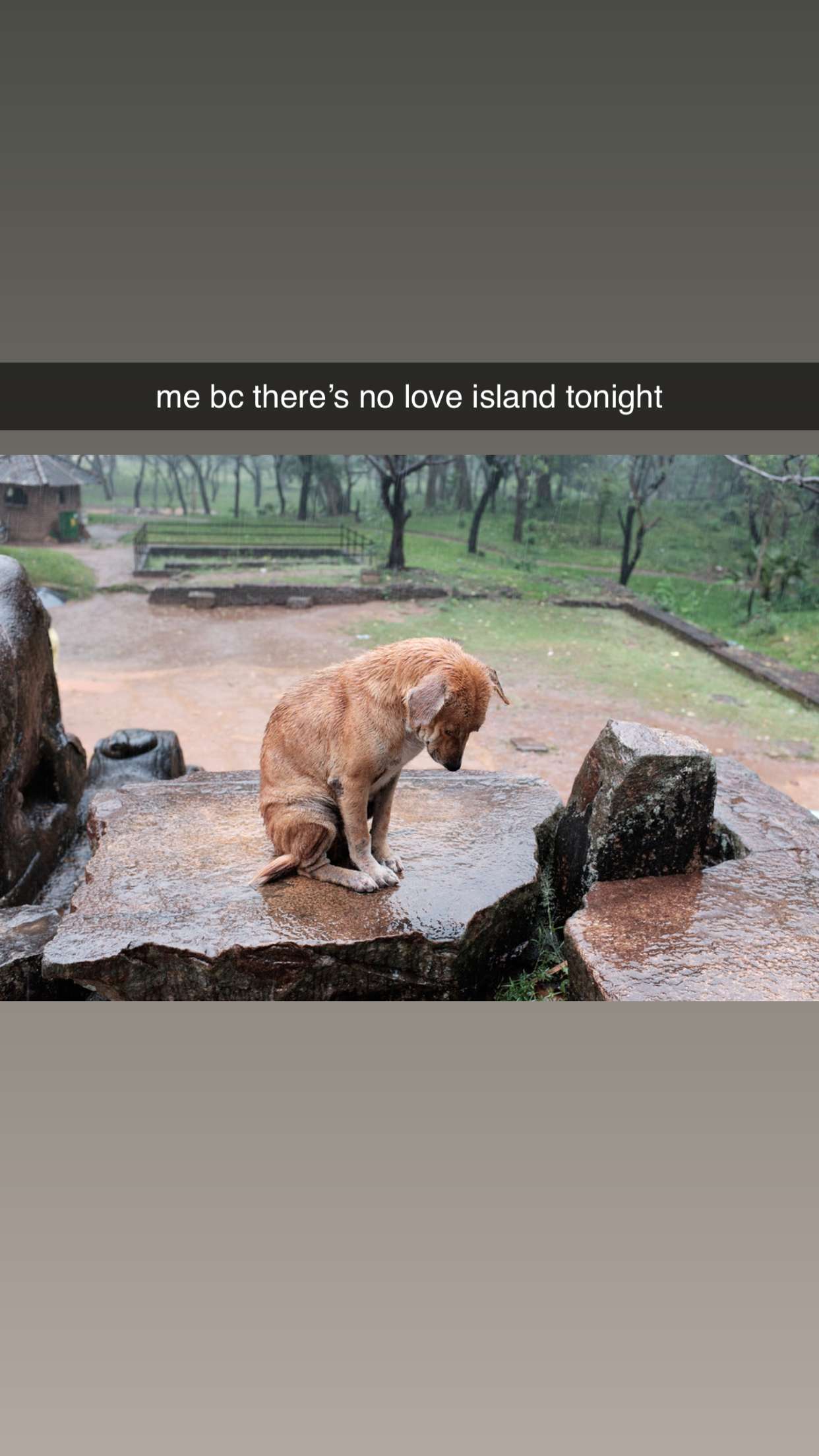 fionamaefit snapchat image archive image