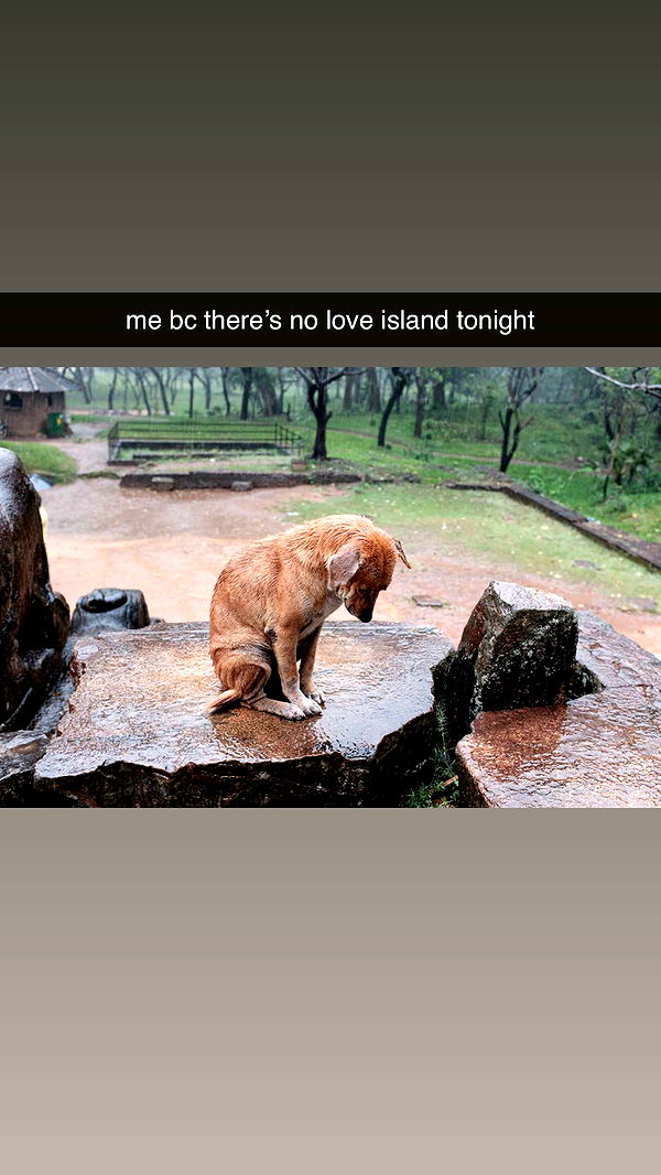 fionamaefit image ~ Altpins