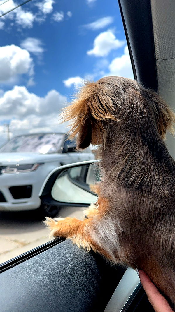 fionamaefit image ~ Altpins