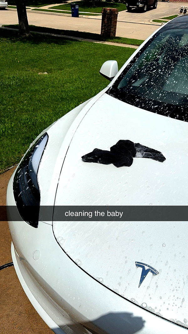 fionamaefit image ~ Altpins