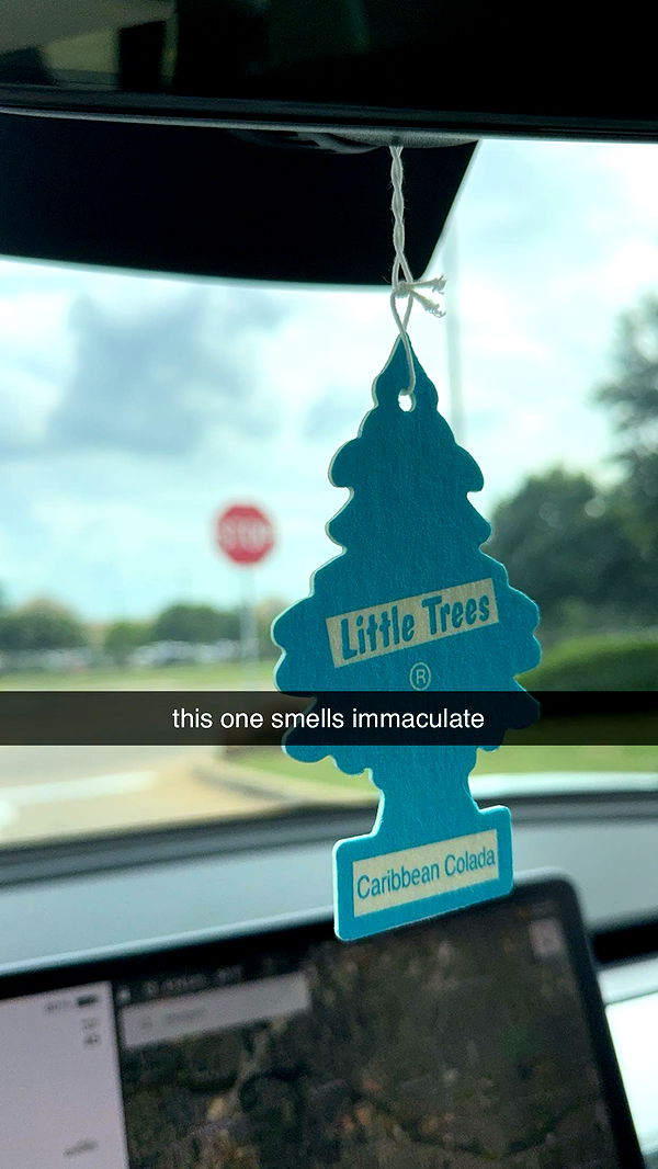 fionamaefit image ~ Altpins