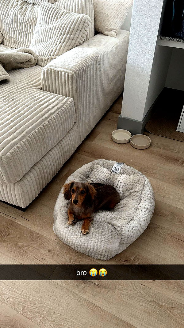 fionamaefit image ~ Altpins