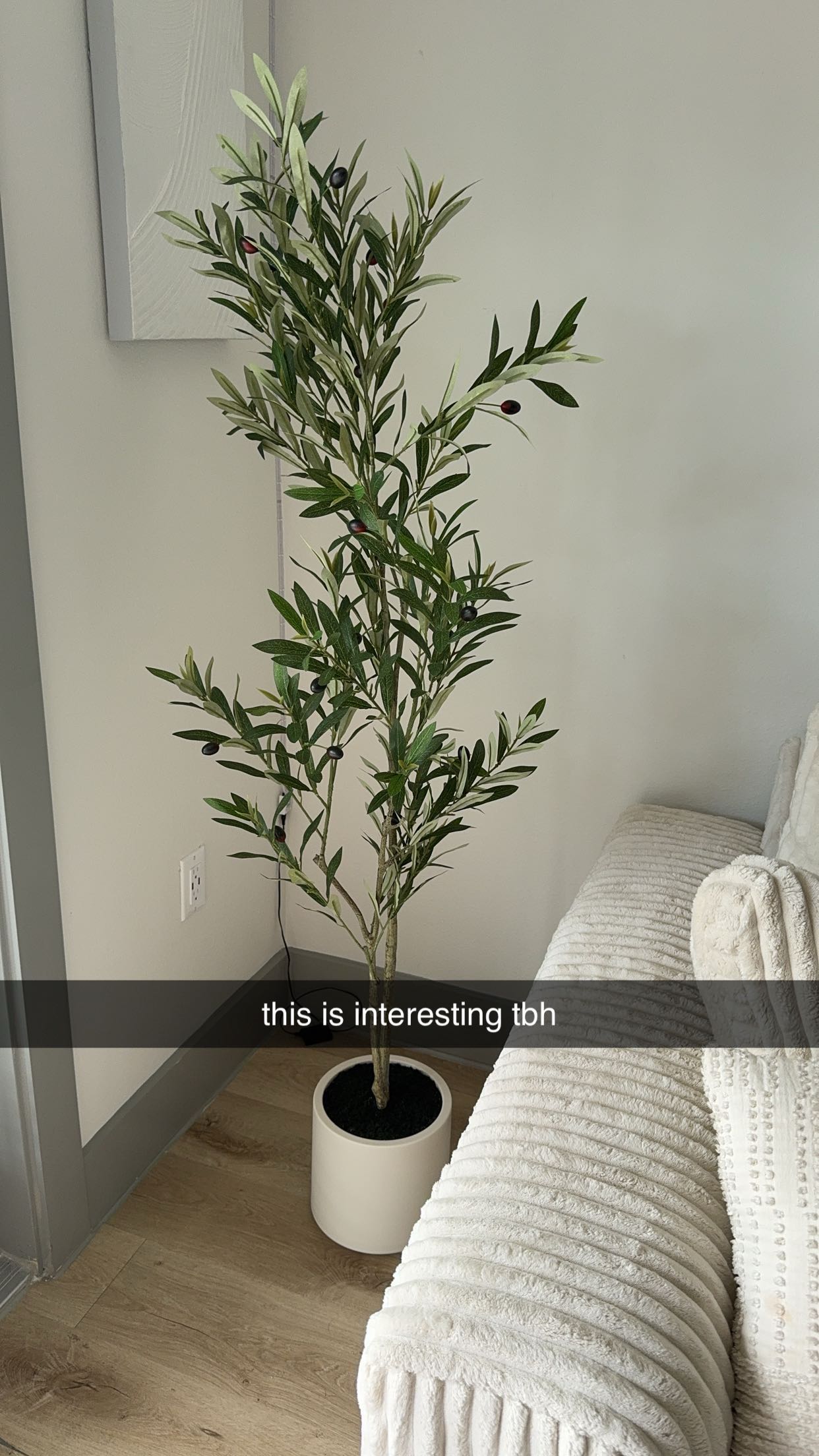 fionamaefit snapchat image archive image