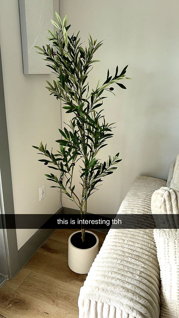 fionamaefit image ~ Altpins