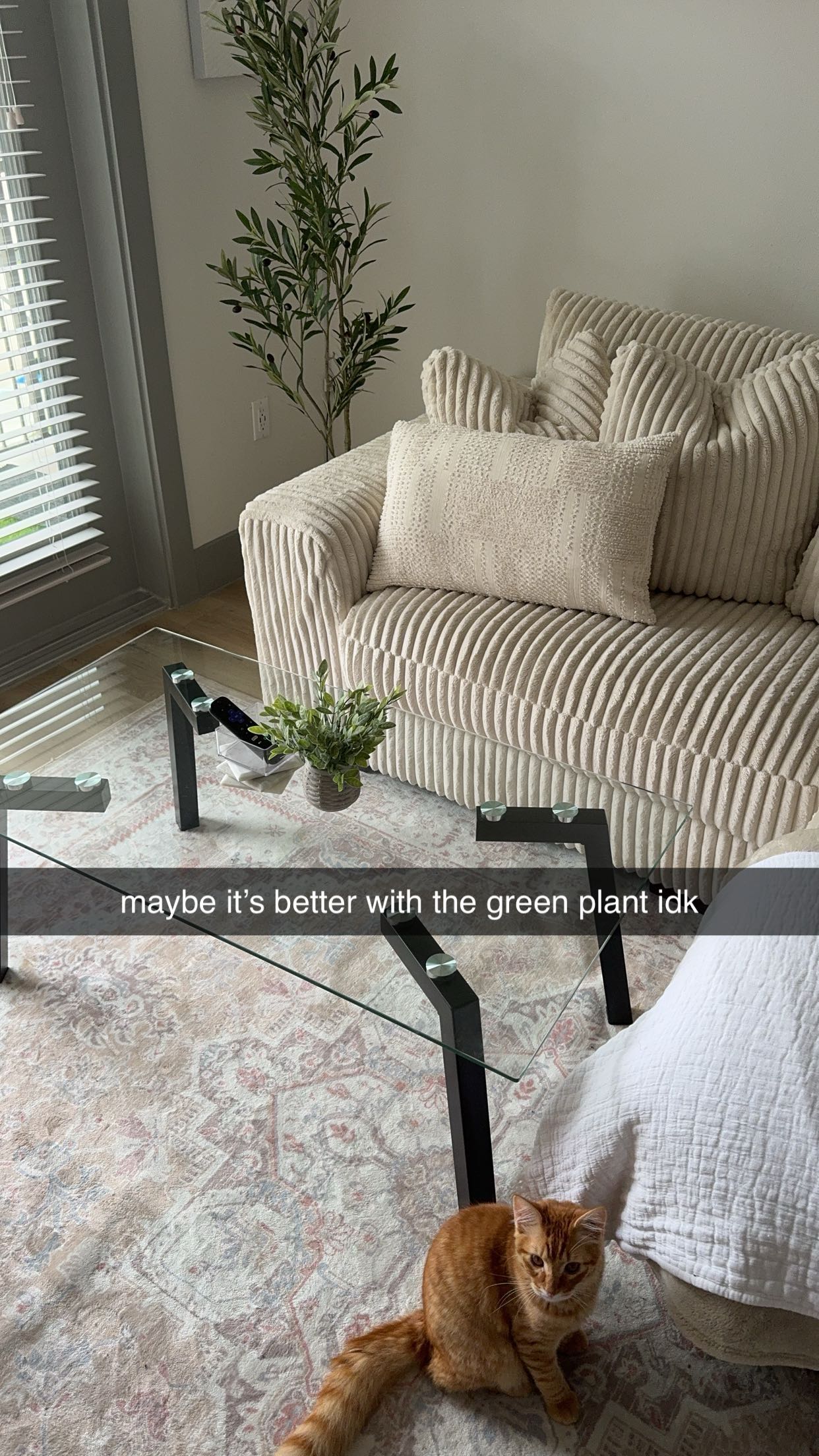 fionamaefit snapchat image archive image