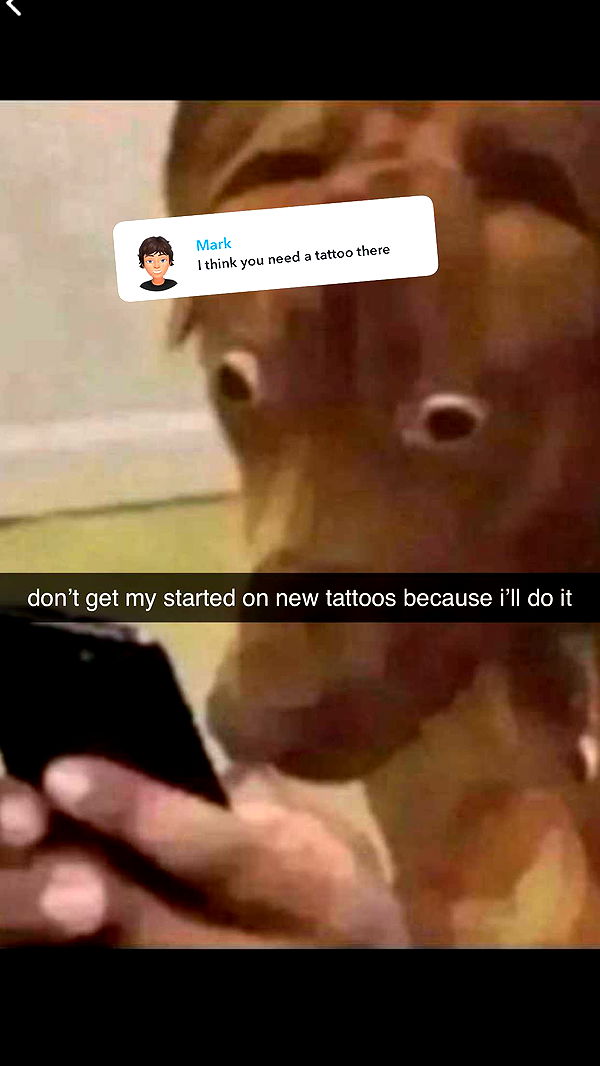 fionamaefit image ~ Altpins