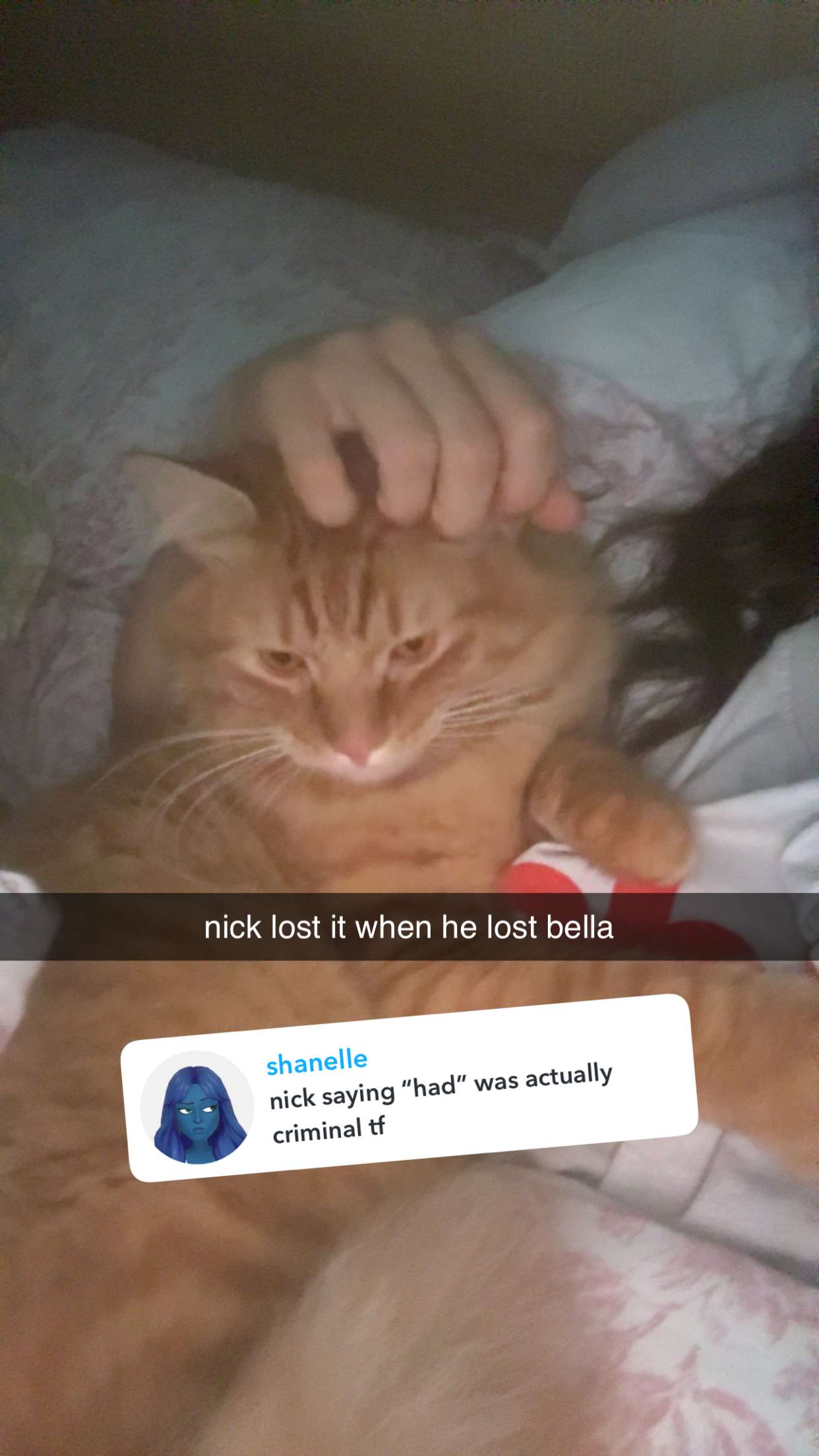 fionamaefit snapchat image archive image