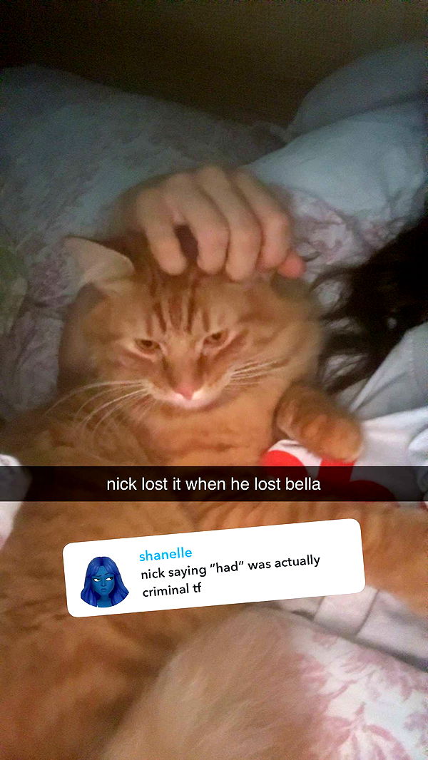 fionamaefit image ~ Altpins