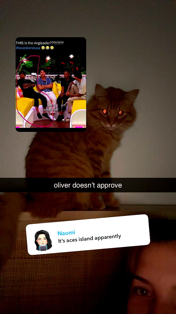 fionamaefit image ~ Altpins