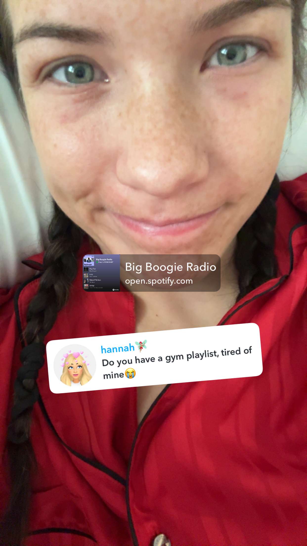 fionamaefit snapchat image archive image