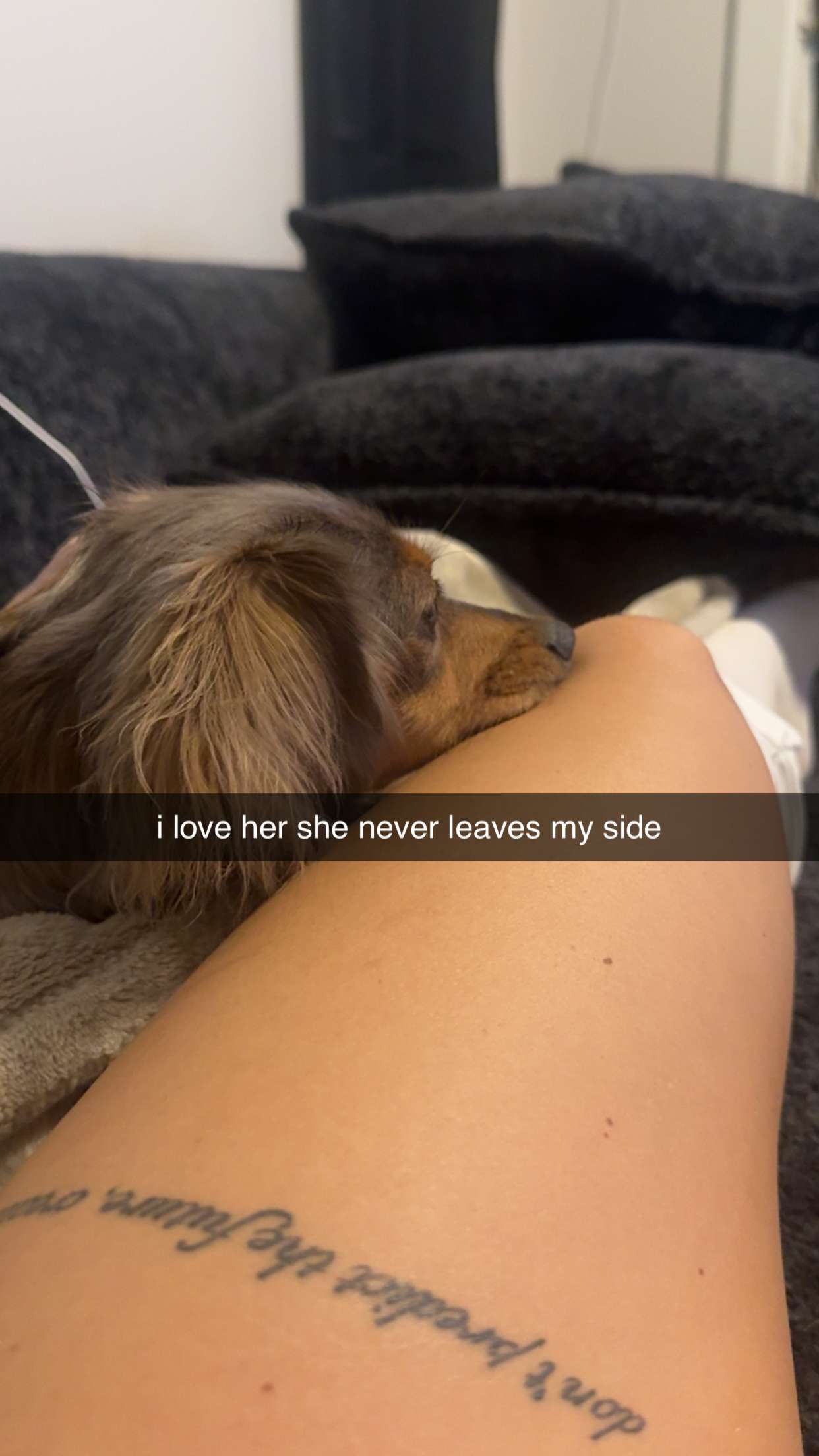 fionamaefit snapchat image archive image