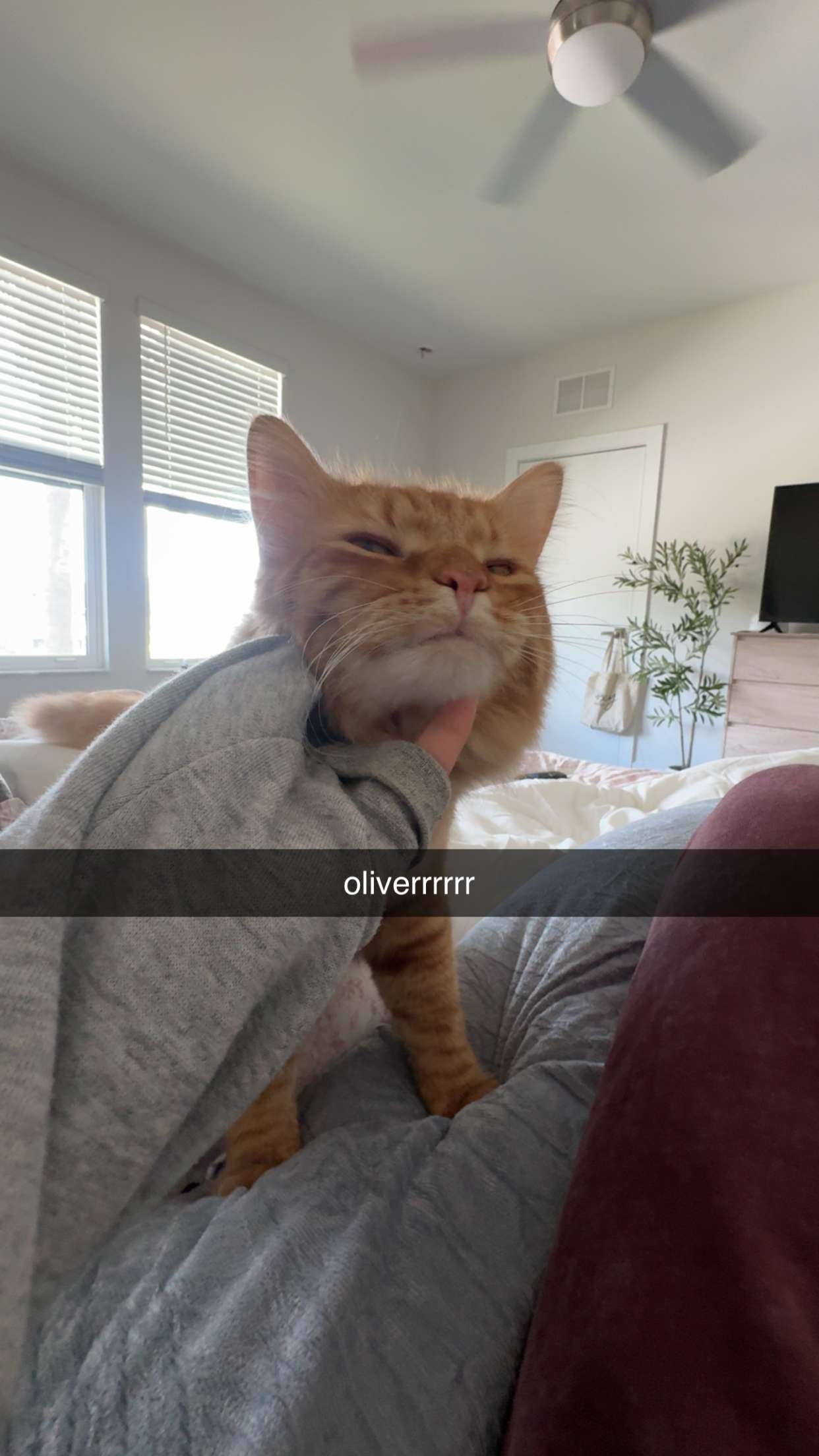 fionamaefit snapchat image archive image