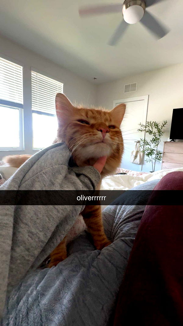 fionamaefit image ~ Altpins